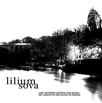 Lilium Sova 2016